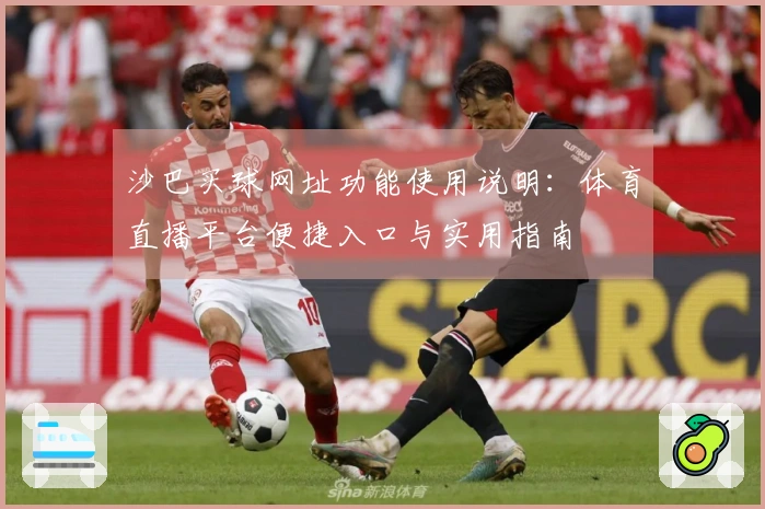沙巴买球网址功能使用说明：体育直播平台便捷入口与实用指南