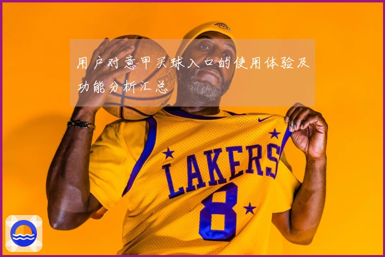用户对意甲买球入口的使用体验及功能分析汇总