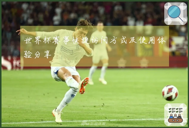 世界杯赛事快捷访问方式及使用体验分享