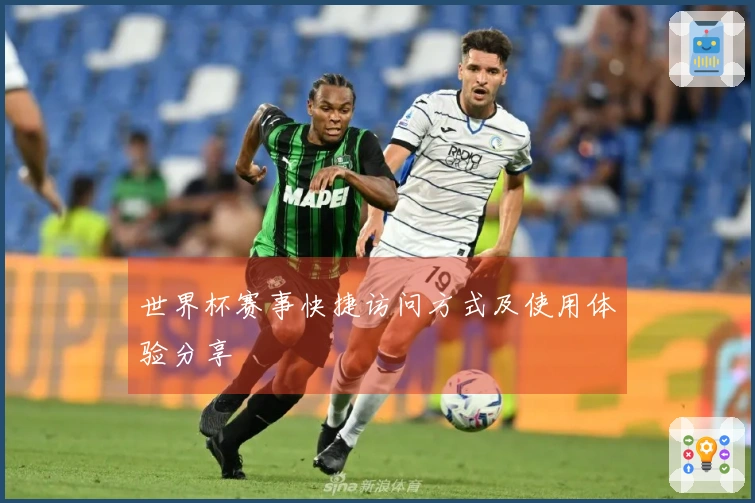 世界杯赛事快捷访问方式及使用体验分享