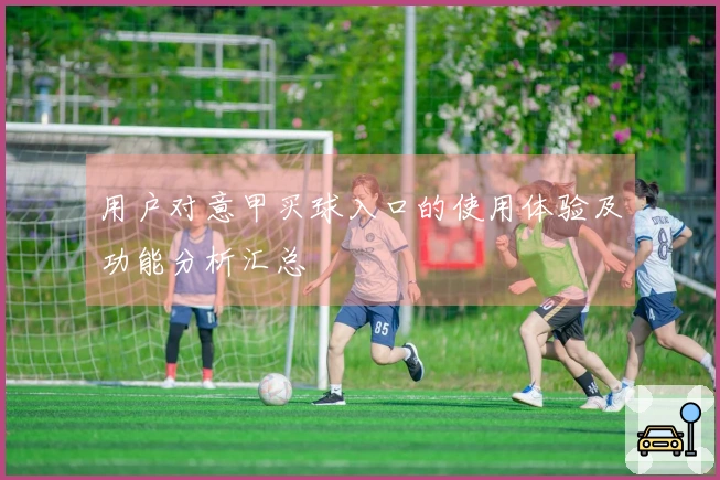 用户对意甲买球入口的使用体验及功能分析汇总