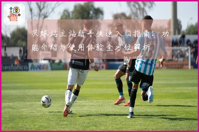 买球站主站新手快速入门指南：功能介绍与使用体验全方位解析