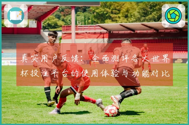 真实用户反馈：全面测评各大世界杯投注平台的使用体验与功能对比